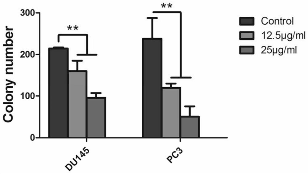 Tung flower leaves n-butanol extract and its preparation and application in treating prostate cancer