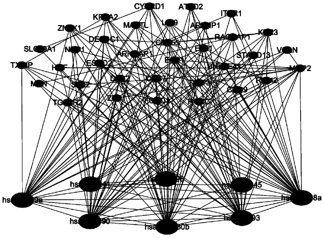 A method for constructing a two-layer gene regulatory network