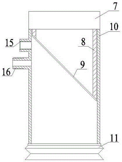 Portable optical detection probe for the internal quality of pachyderm fruits