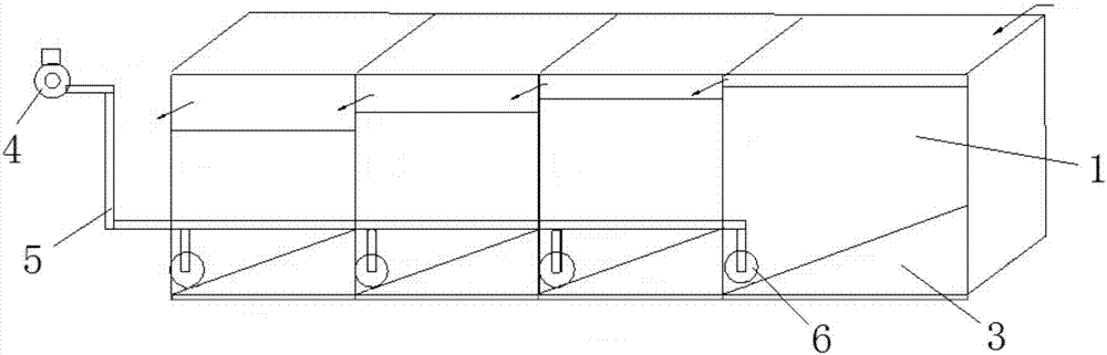 Microorganism composite microbial agent, preparation method thereof and sewage treatment system