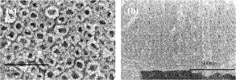 Preparation method of titanium dioxide nanotube array sensitized by cadmium sulfide nanoparticles