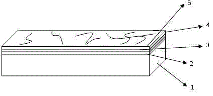 Whole-body polished porcelain tile having three-dimensional stone texture and production method of tile