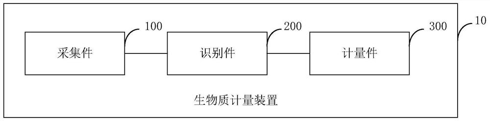 Biomass metering device and method, electronic equipment and storage medium
