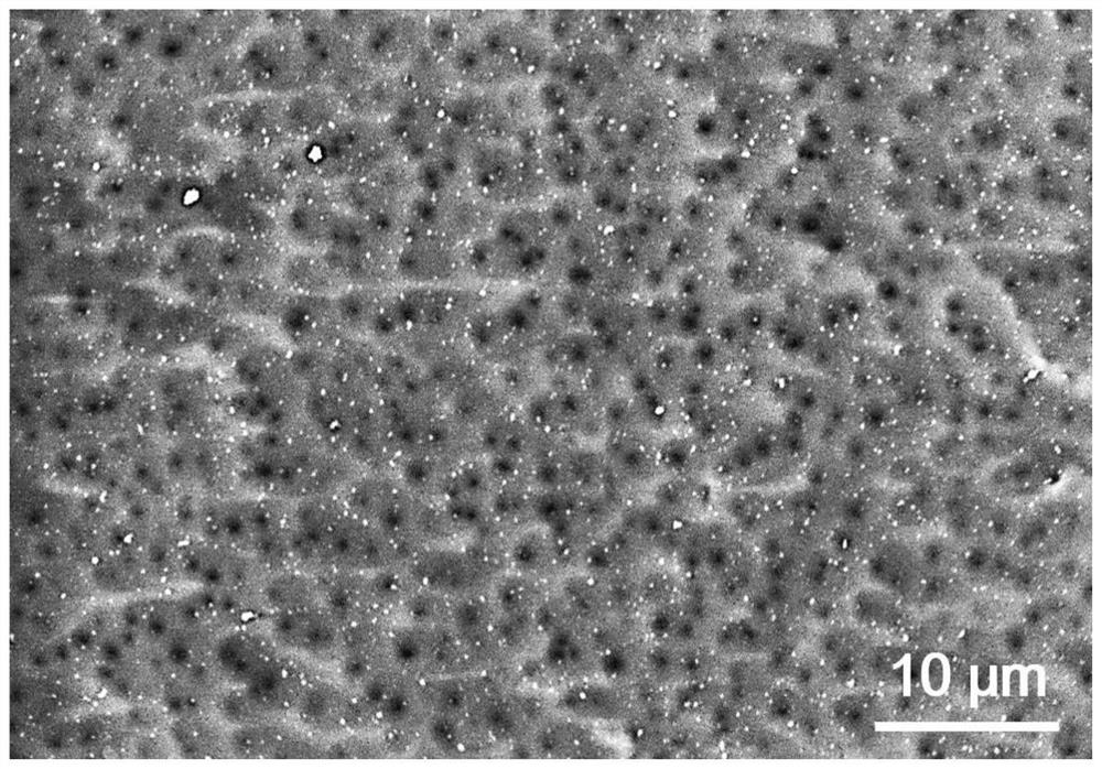 A high-throughput biomimetic nanofiltration membrane based on layered graphite phase carbon nitride nanosheets and its preparation method