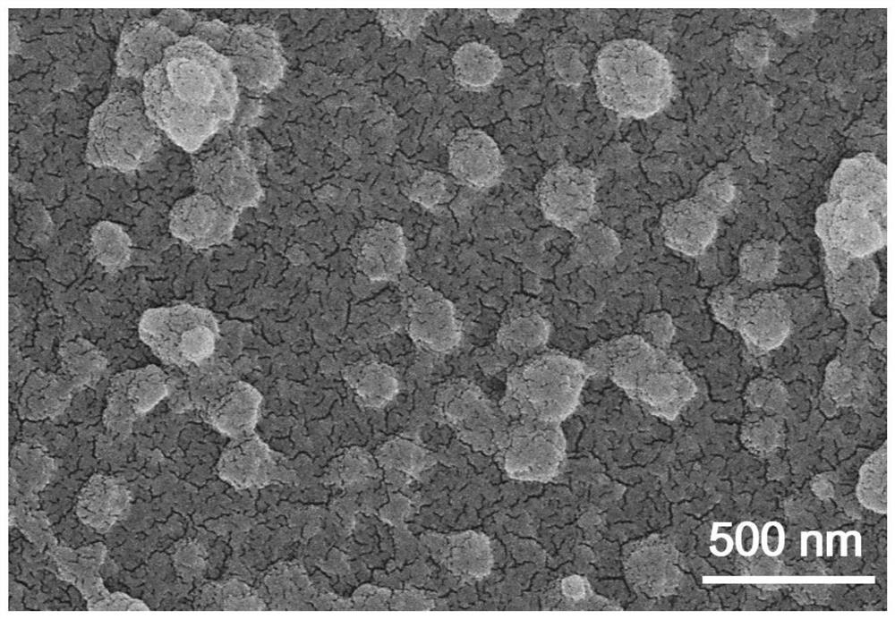 A high-throughput biomimetic nanofiltration membrane based on layered graphite phase carbon nitride nanosheets and its preparation method