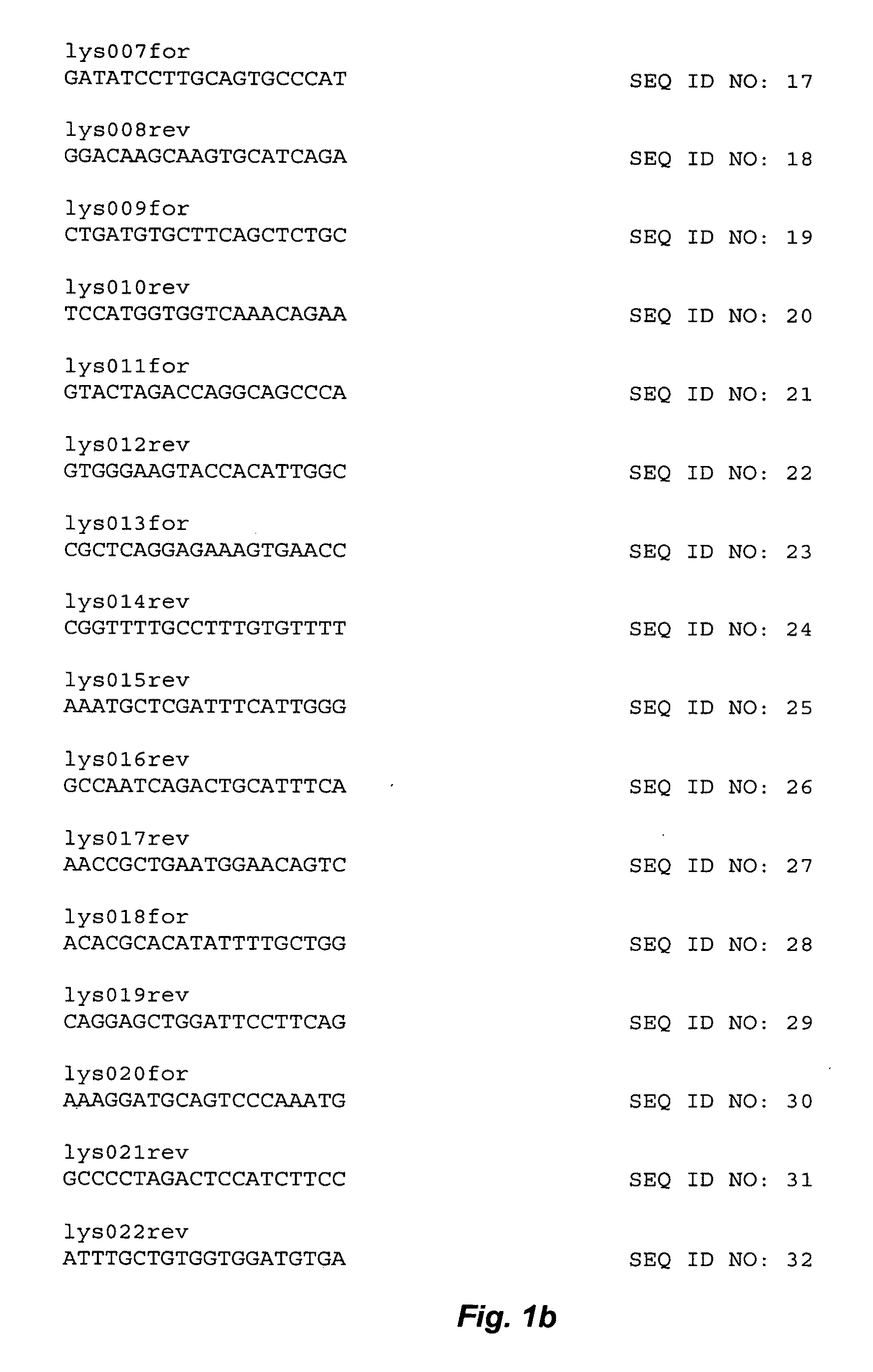 Methods for producing a protein using an avian lysozyme promoter