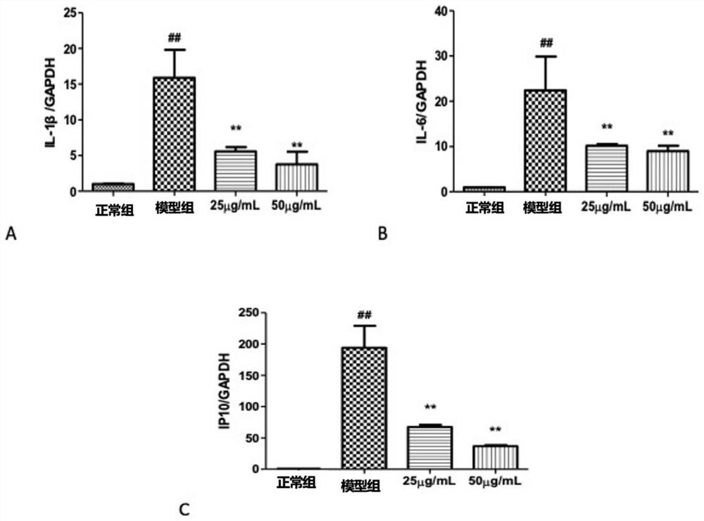 Use of Luofushan Baicao Oil in the preparation of drugs for inhibiting coronavirus oc43 and sars-cov-2 infection in vitro
