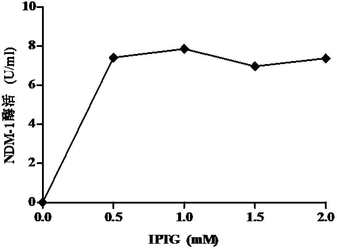 Drug-resistant pathogen infection resistant polypeptide and uses thereof