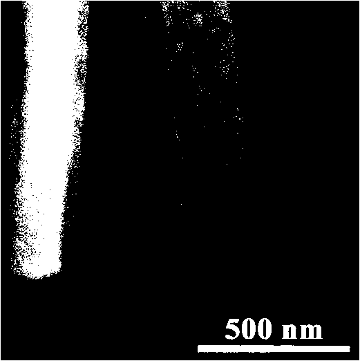 Electrostatic spinning synthesis method of In2O3 core-shell nanobelt structure