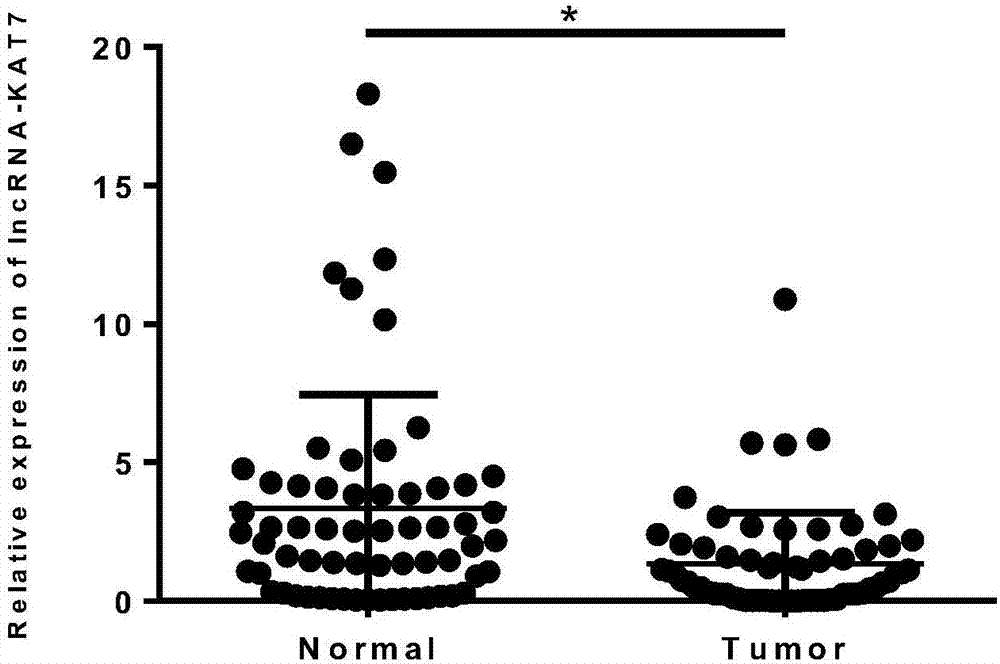 Tumor marker related to colorectal cancer and application