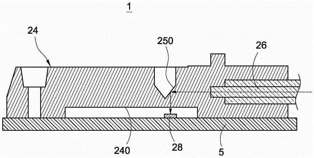 Optical module and optical transceiver module