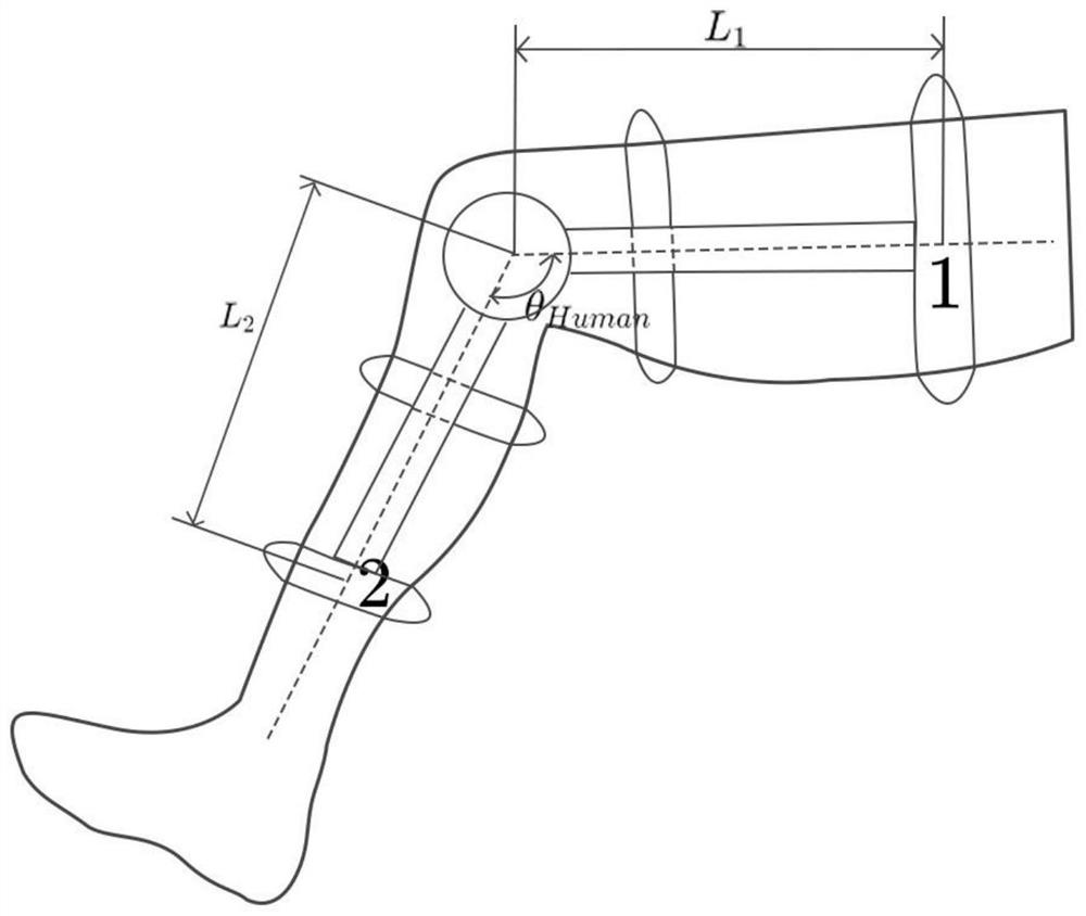 Knee joint exoskeleton man-machine posture deviation identification method and device based on subspace