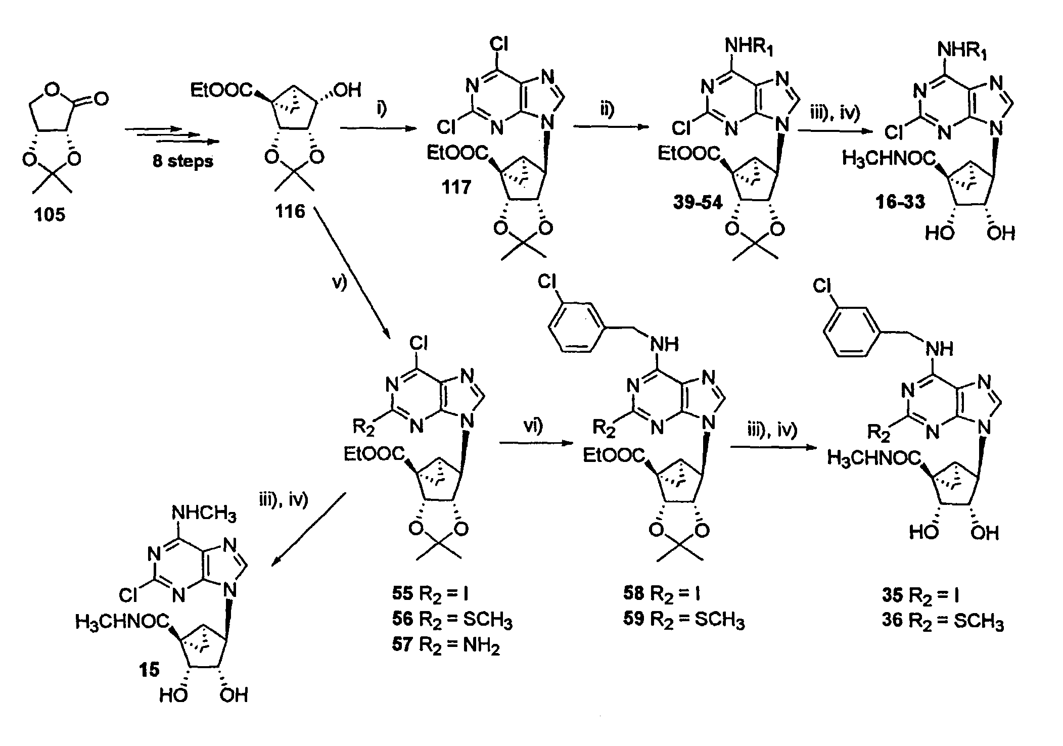Purine derivatives as A3 and A1 adenosine receptor agonists