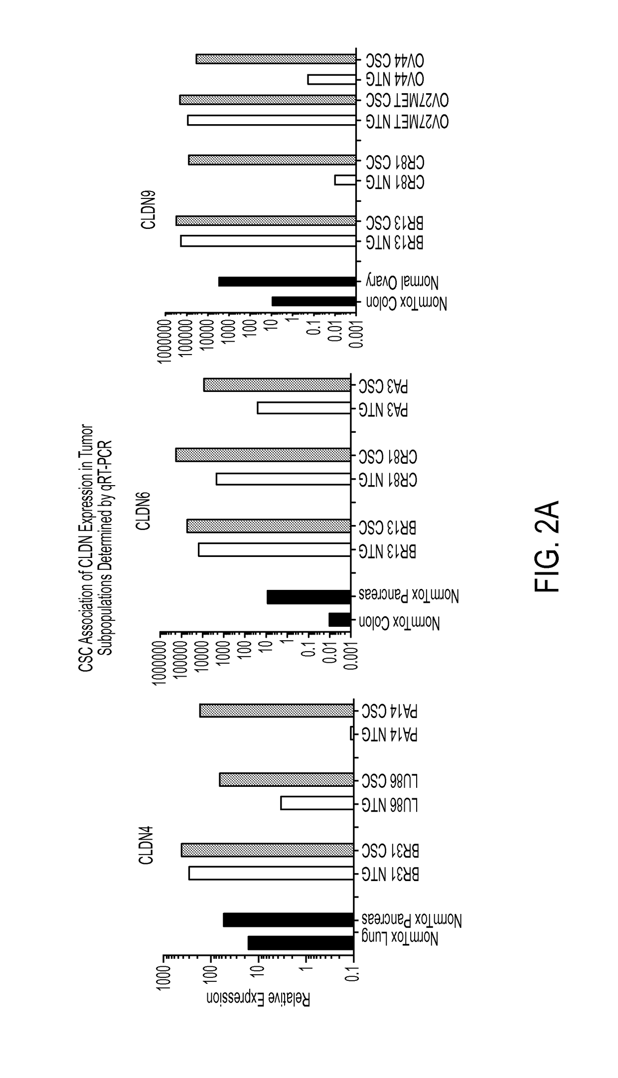 Anti-claudin antibodies and methods of use