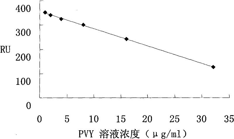 A pvy/cmv surface plasmon resonance detection method