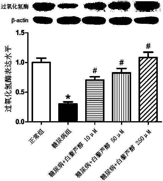 Application of resveratrol in medical titanium alloy implants under diabetes conditions