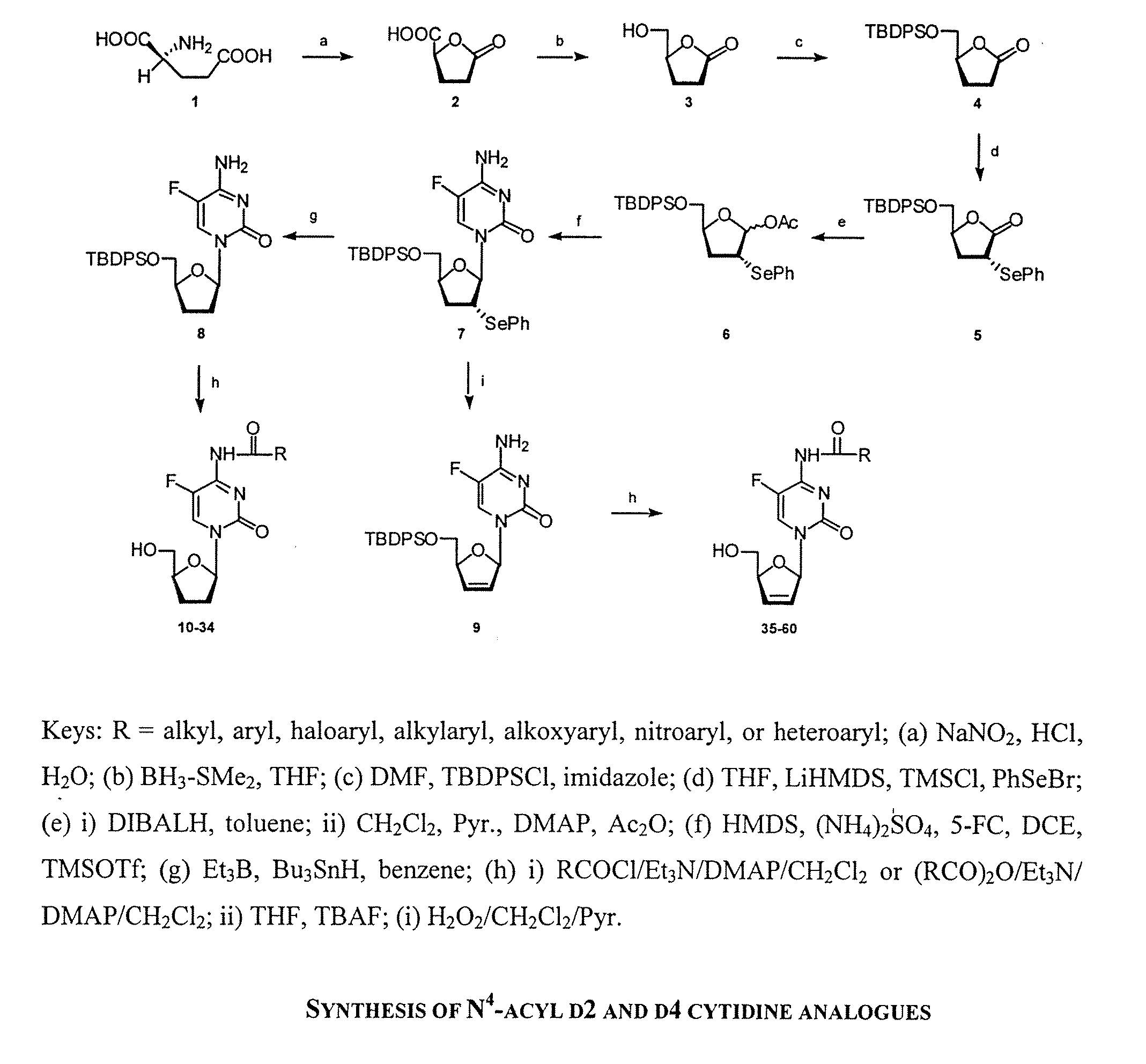 N4-Acylcytosine Nucleosides for Treatment of Viral Infections