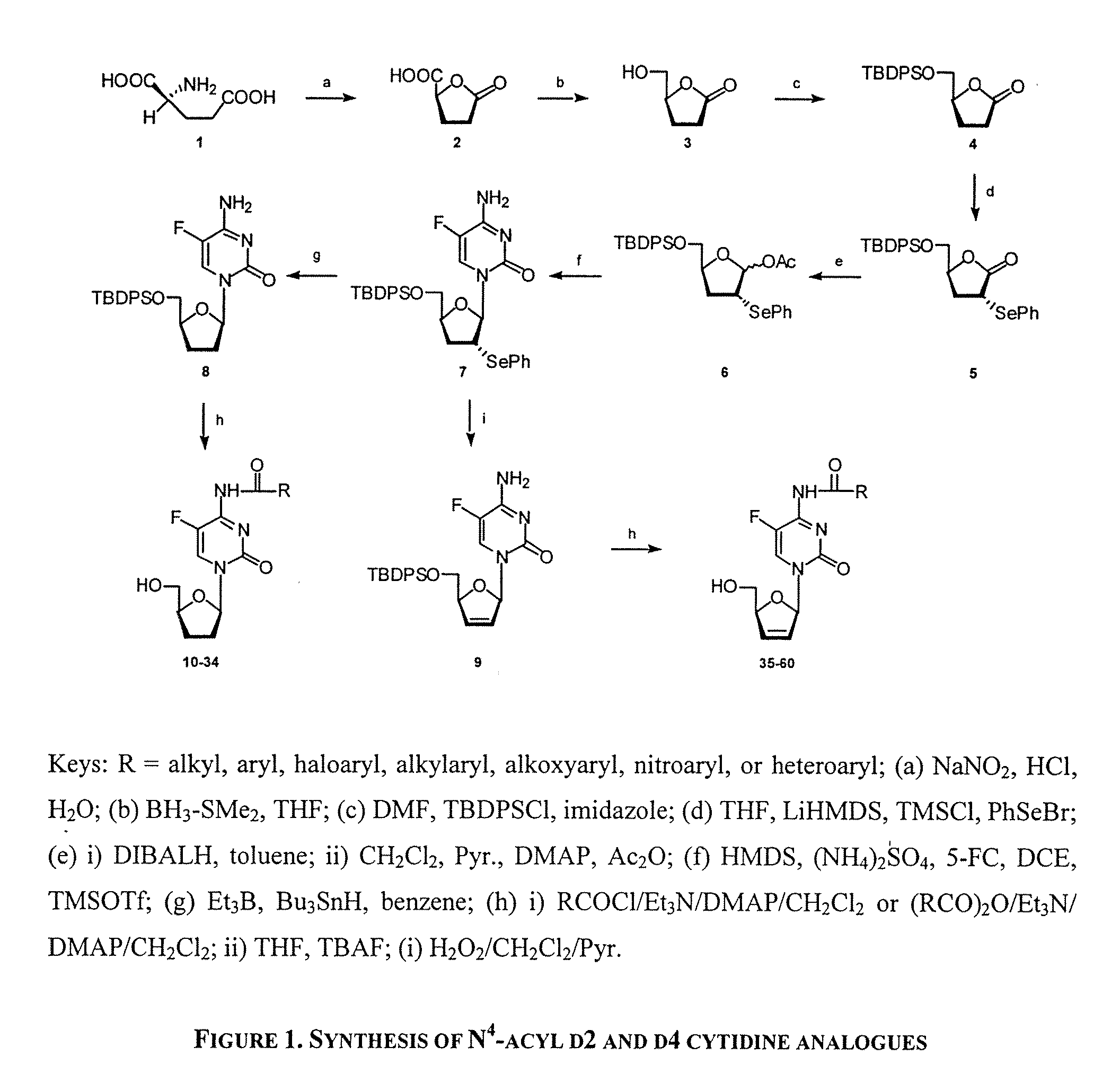 N4-Acylcytosine Nucleosides for Treatment of Viral Infections