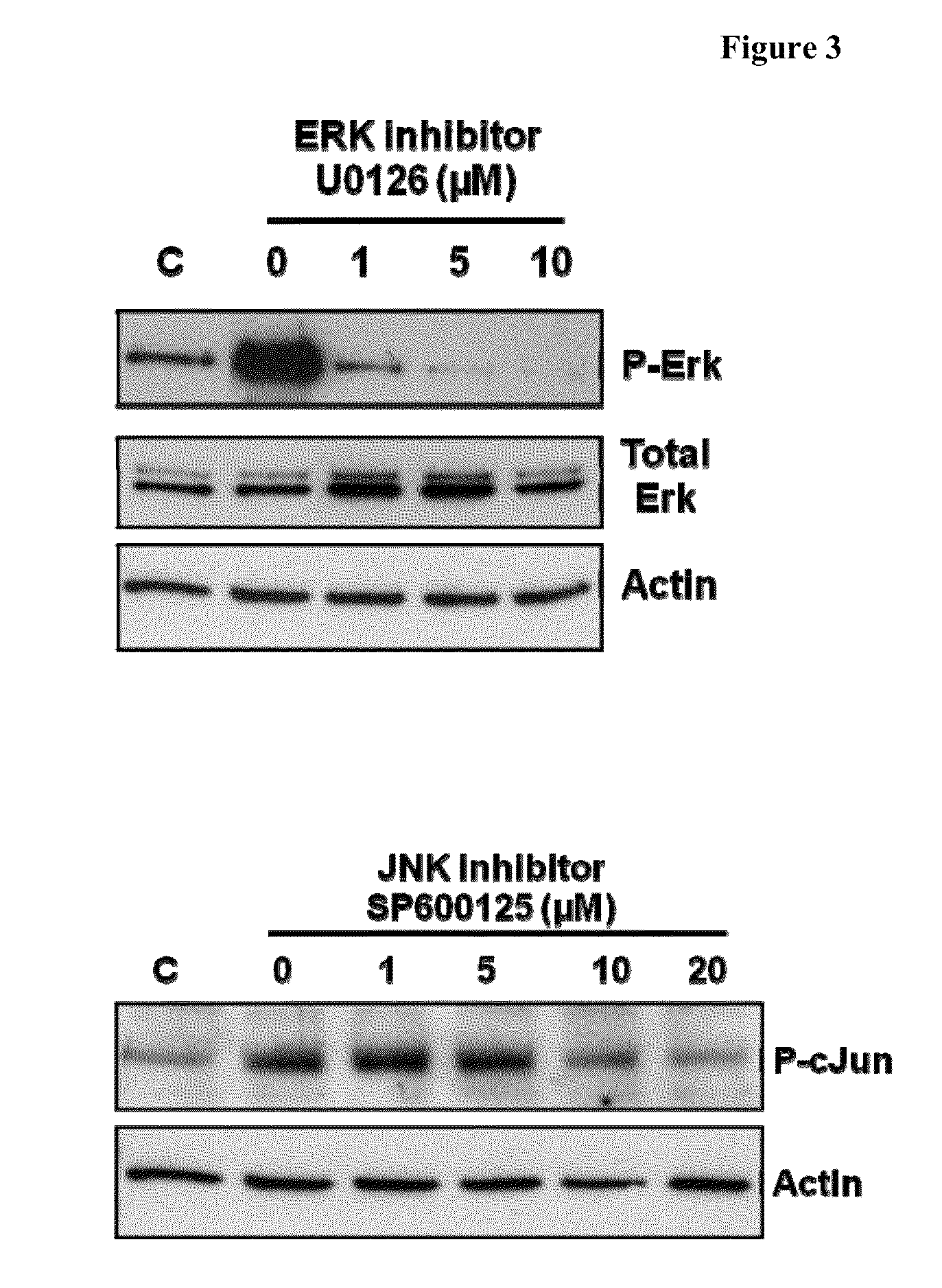 Methods of inhibiting photoreceptor apoptosis by eliciting the Faim2 antiapoptotic pathway