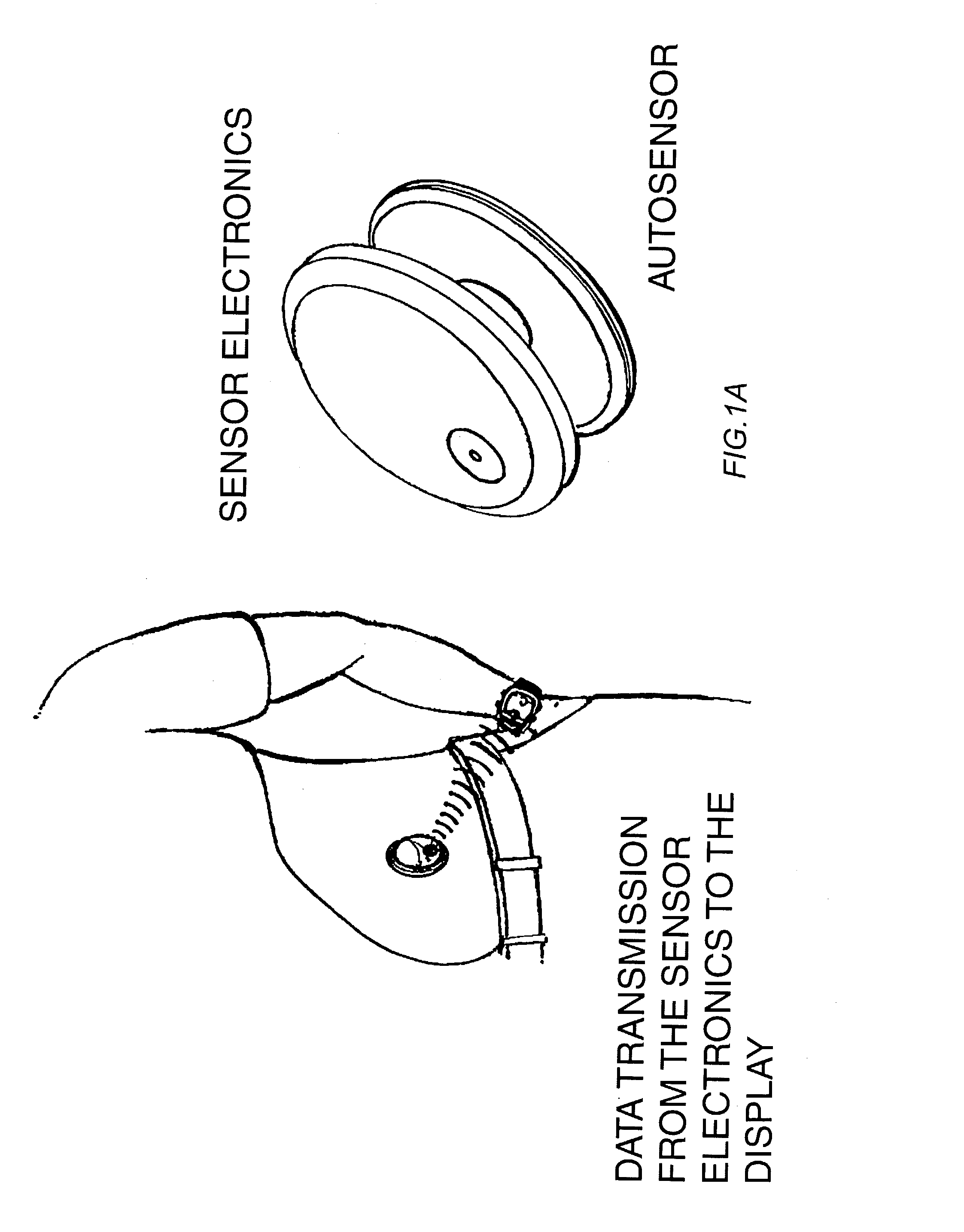 Devices and methods for frequent measurement of an analyte present in a biological system