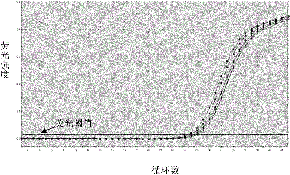 Nucleic acid quantitative detection kit for hepatitis C virus (HCV)