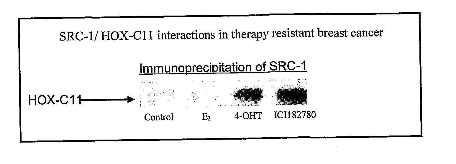 Method of assessing cancer status in a breast cancer patient