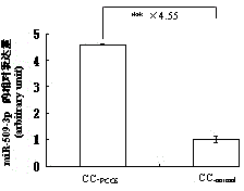 Application of miR-509-3p expression inhibitor in preparation of polycystic ovary syndrome treatment drugs