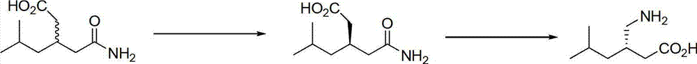 Method for preparing (3R)-(-)-3-(2- acetamino)-5-methylhexanol