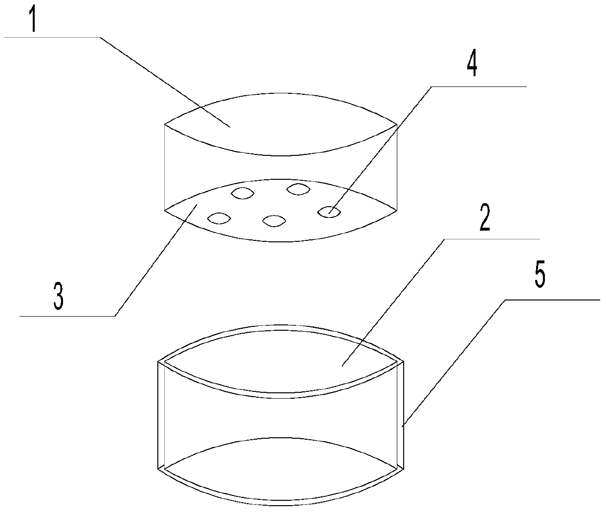 The rapid propagation method of star anise lotus