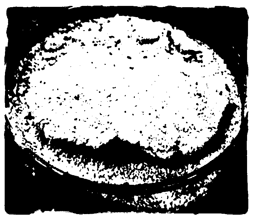 Extracellular polysaccharide lysobacter SCSIO 17111 with sand fixation effect and application thereof