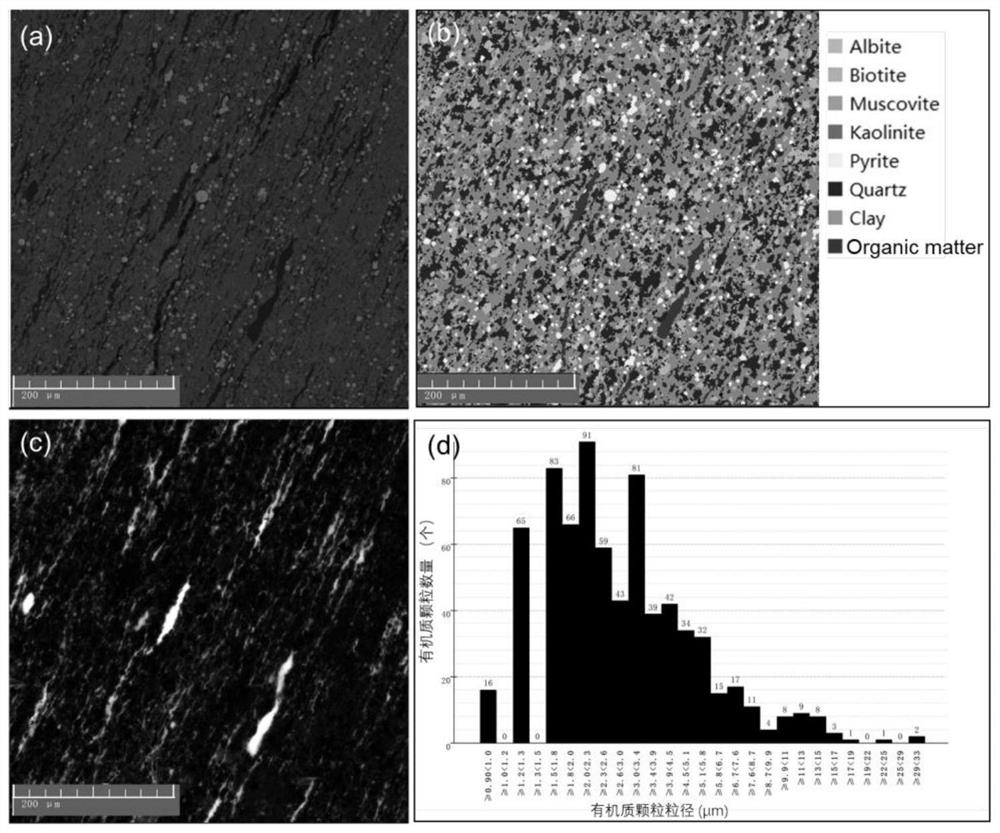 Method for online in-situ determination of organic matter content of hydrocarbon source rock