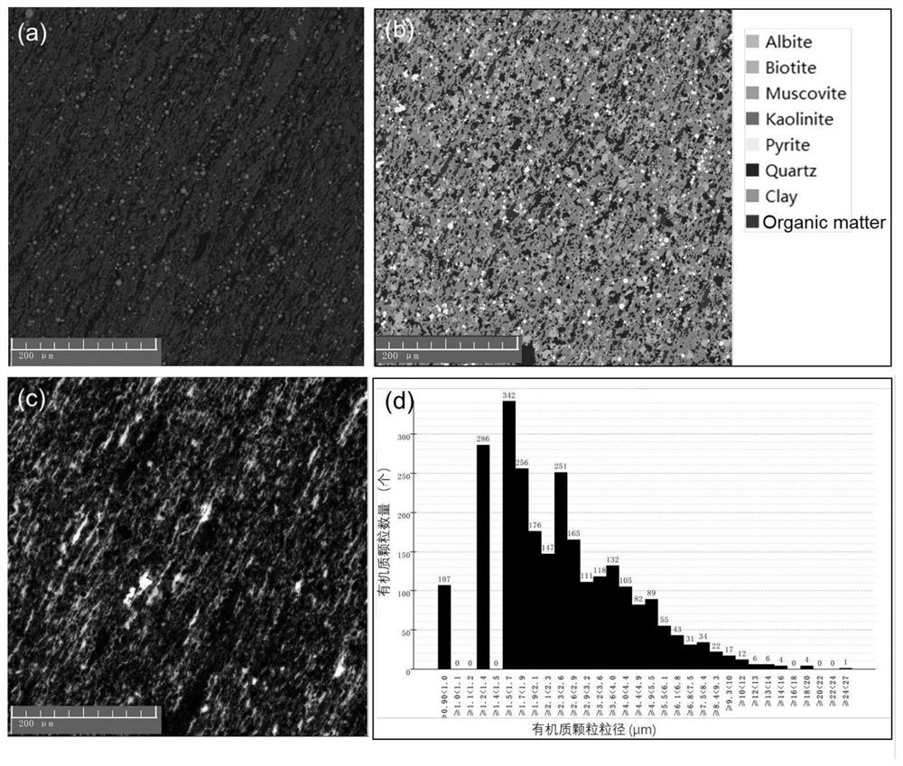 Method for online in-situ determination of organic matter content of hydrocarbon source rock