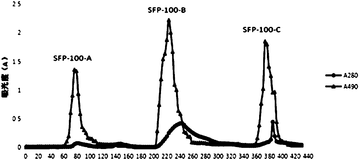 Sophora flavescens polysaccharide as well as preparation method thereof and use thereof in liver protection and immune regulation