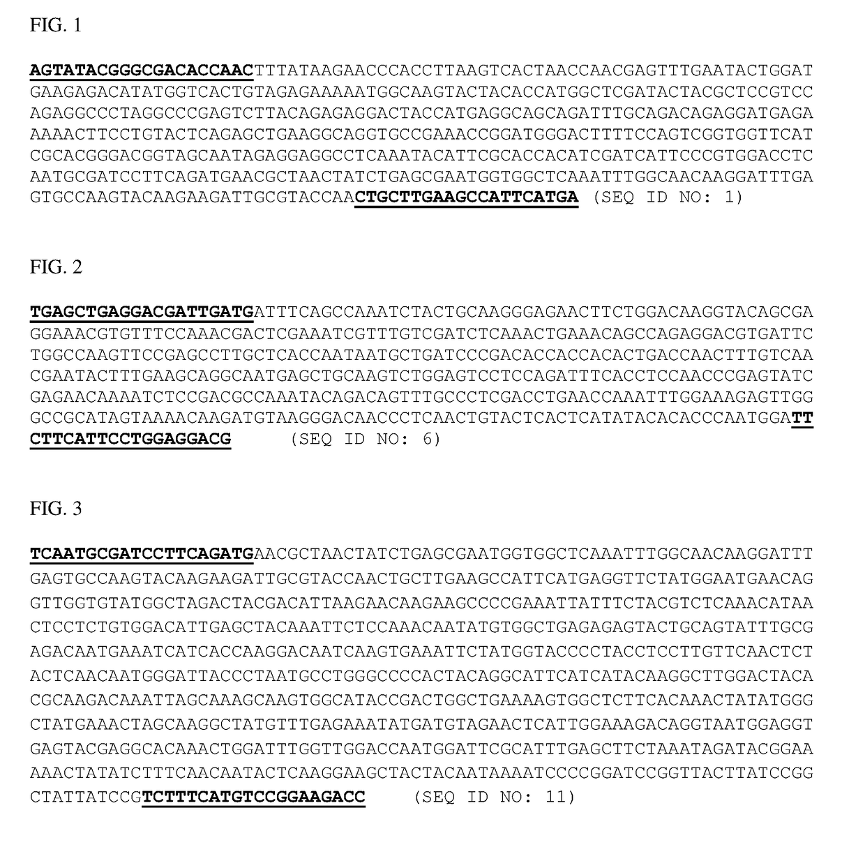 Double stranded RNA compositions for reducing asian citrus psyllid infestation and methods of use