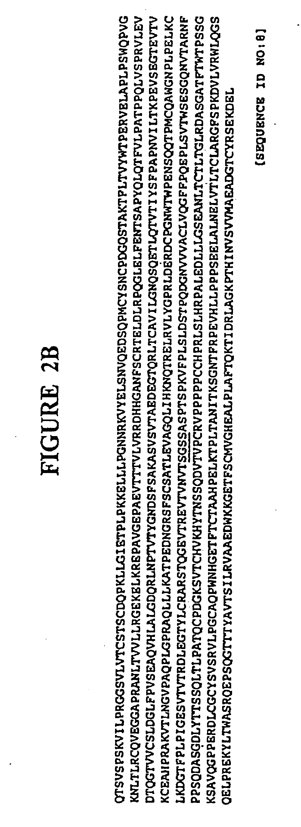 Chimeric toxin receptor proteins and chimeric toxin receptor proteins for treatment and prevention of anthrax