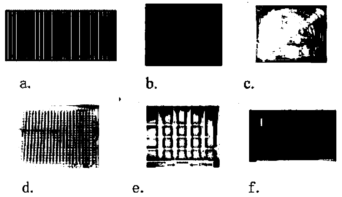 Synthetizing algorithm based on naked eye three-dimensional displaying technology