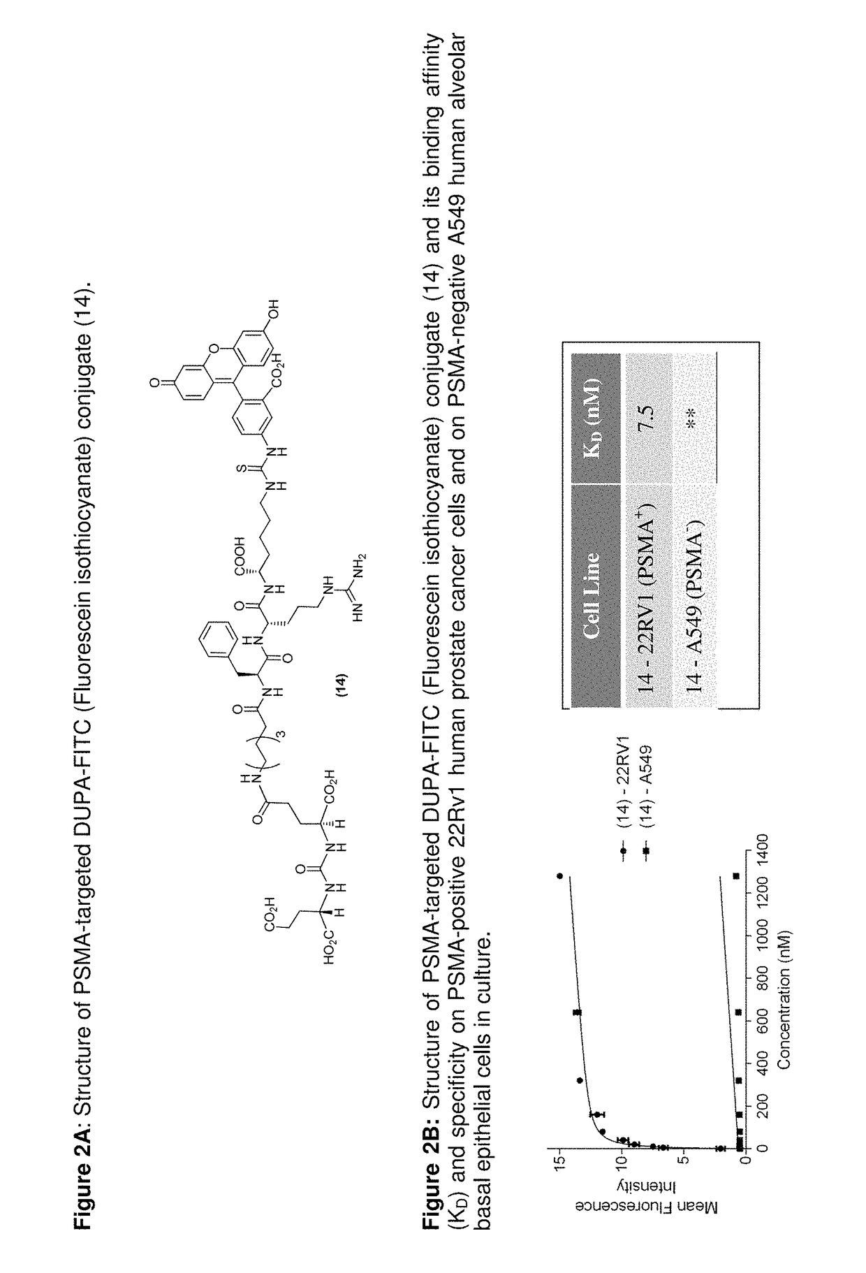 PSMA-targeted NIR dyes and their uses