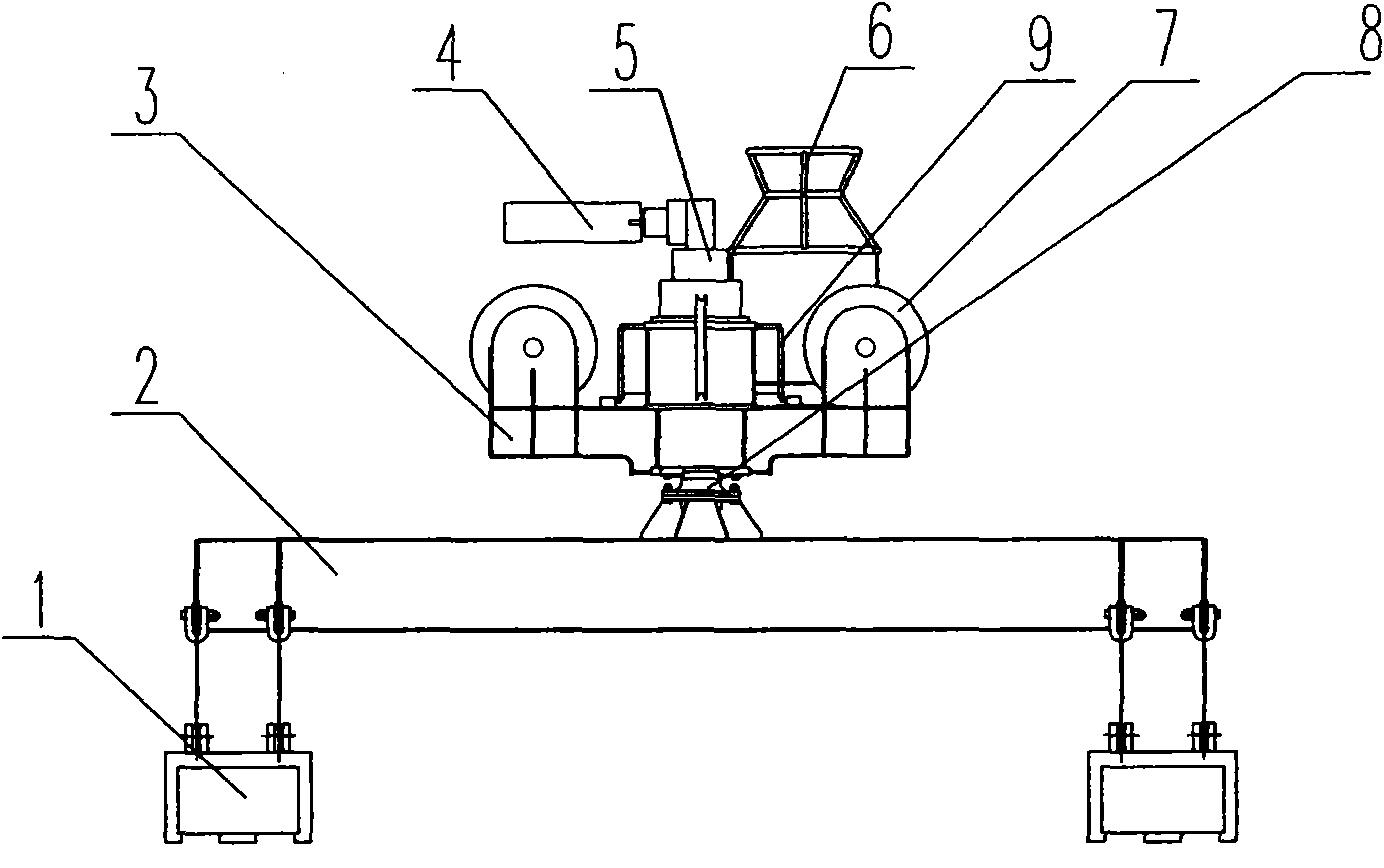 Rotary lifting appliance of electromagnetic plate crane