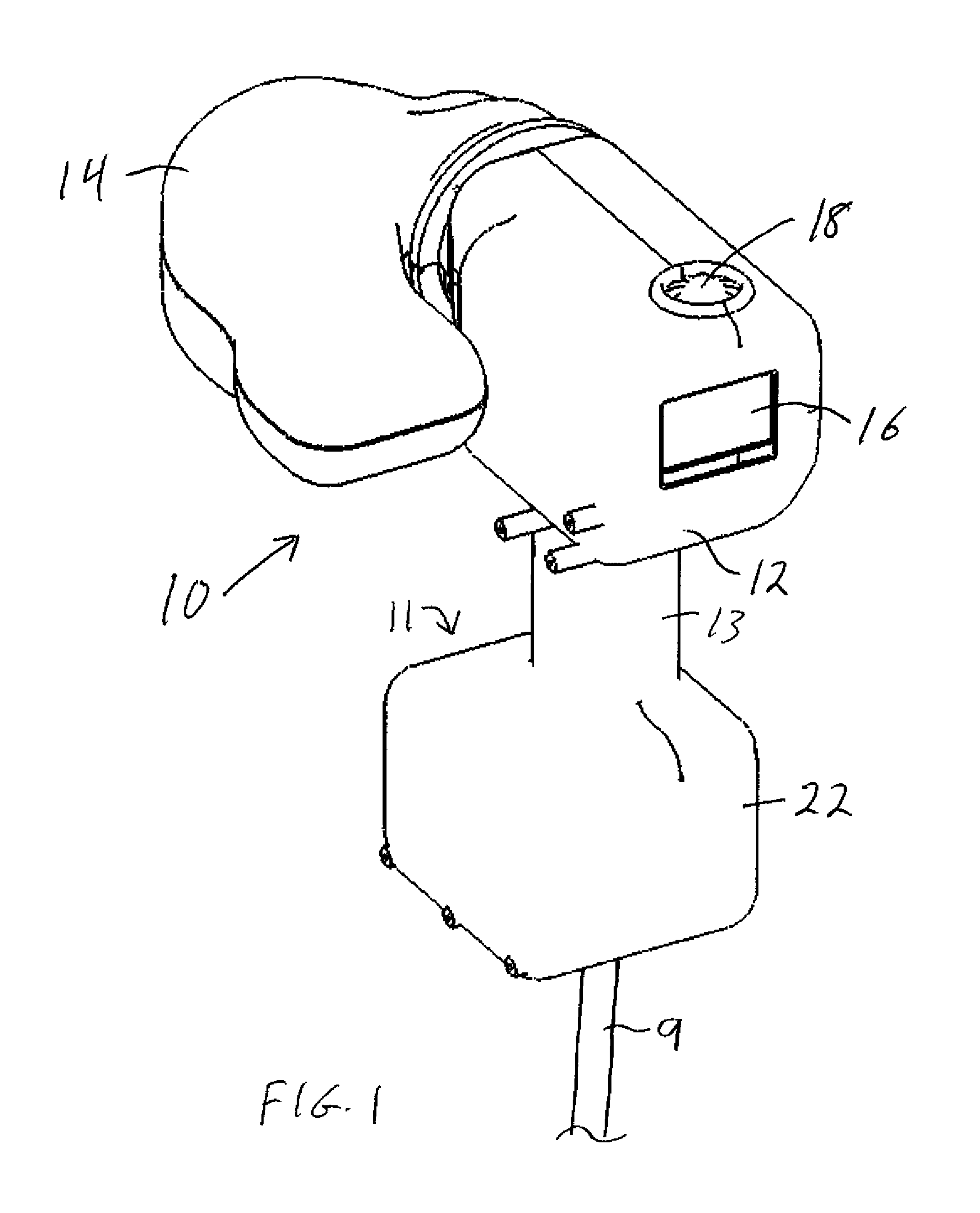 Portable Digital Medical Camera for Capturing Images of the Retina or the External Auditory Canal, and Methods of Use