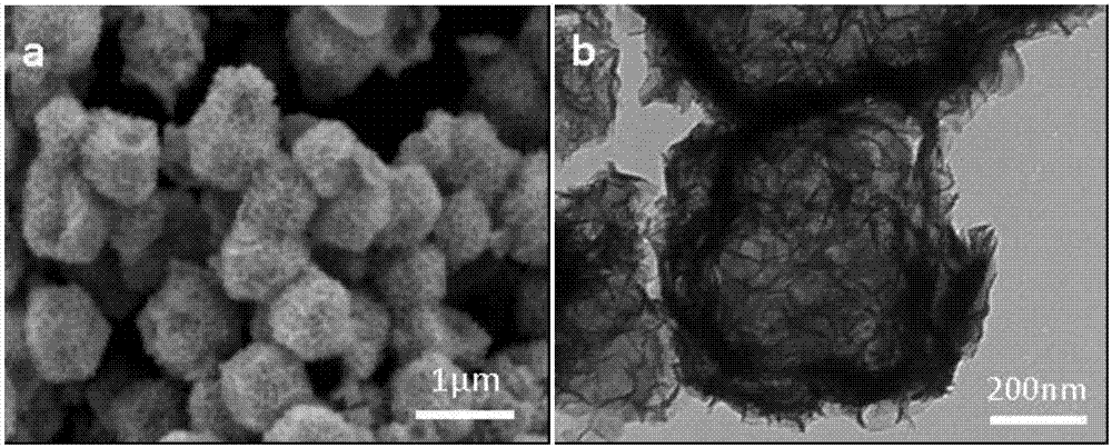 Preparation method and application of layered nickel-cobalt hydroxide