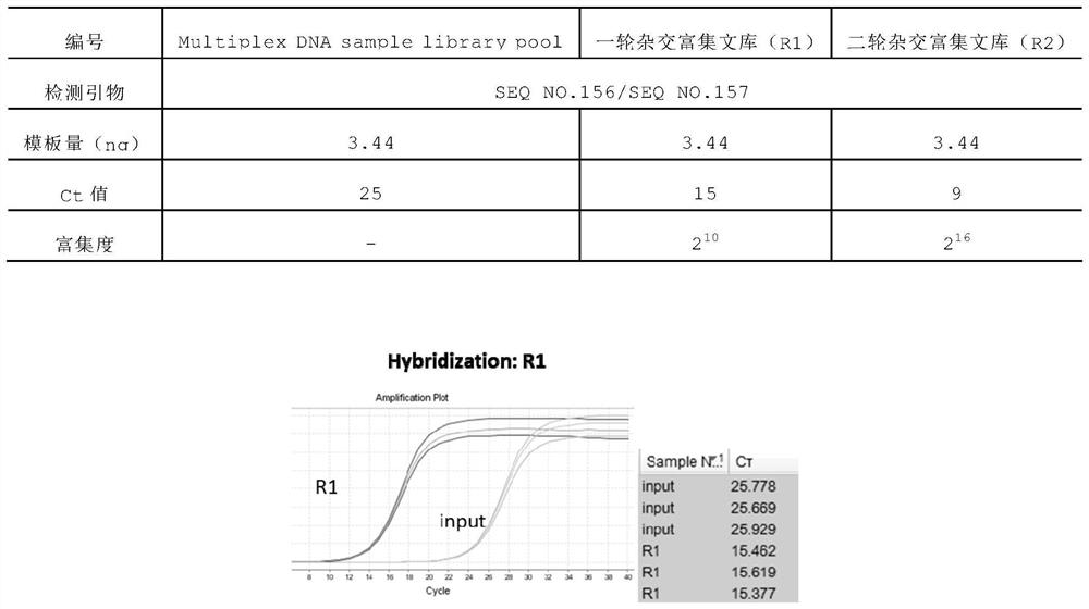 A hybrid capture kit and method for detection of mutations in breast cancer susceptibility genes brca1 and brca2