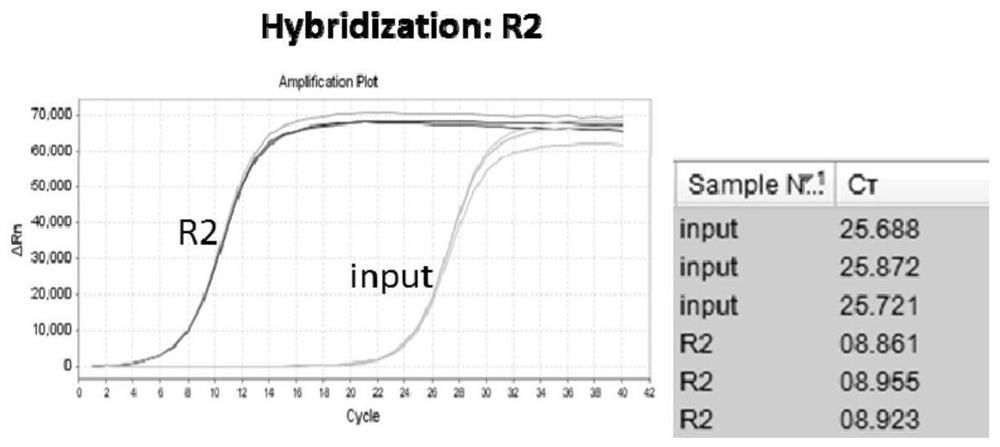 A hybrid capture kit and method for detection of mutations in breast cancer susceptibility genes brca1 and brca2