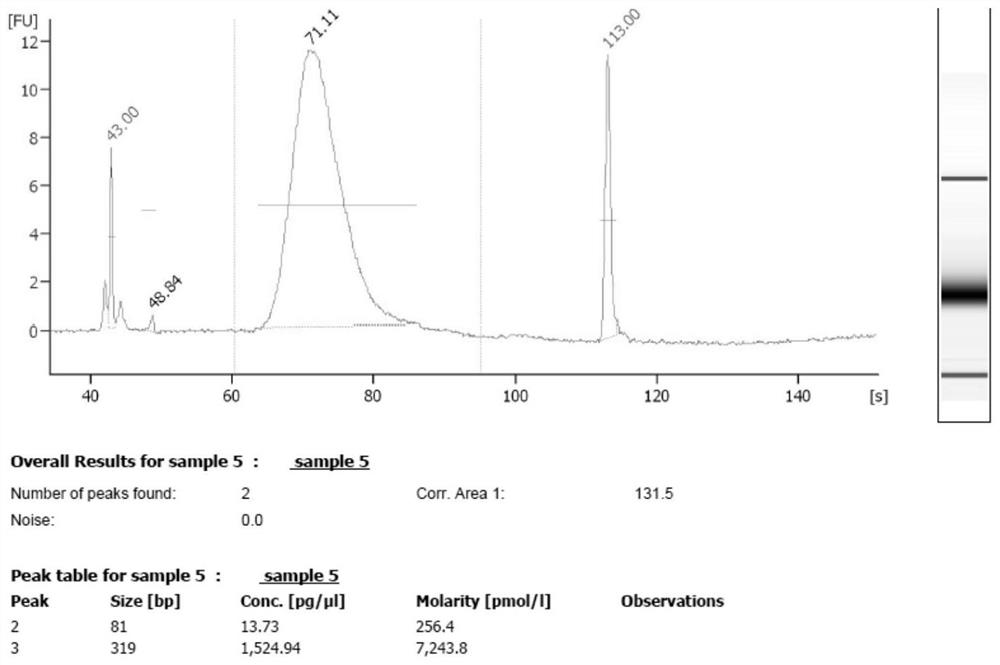 A hybrid capture kit and method for detection of mutations in breast cancer susceptibility genes brca1 and brca2