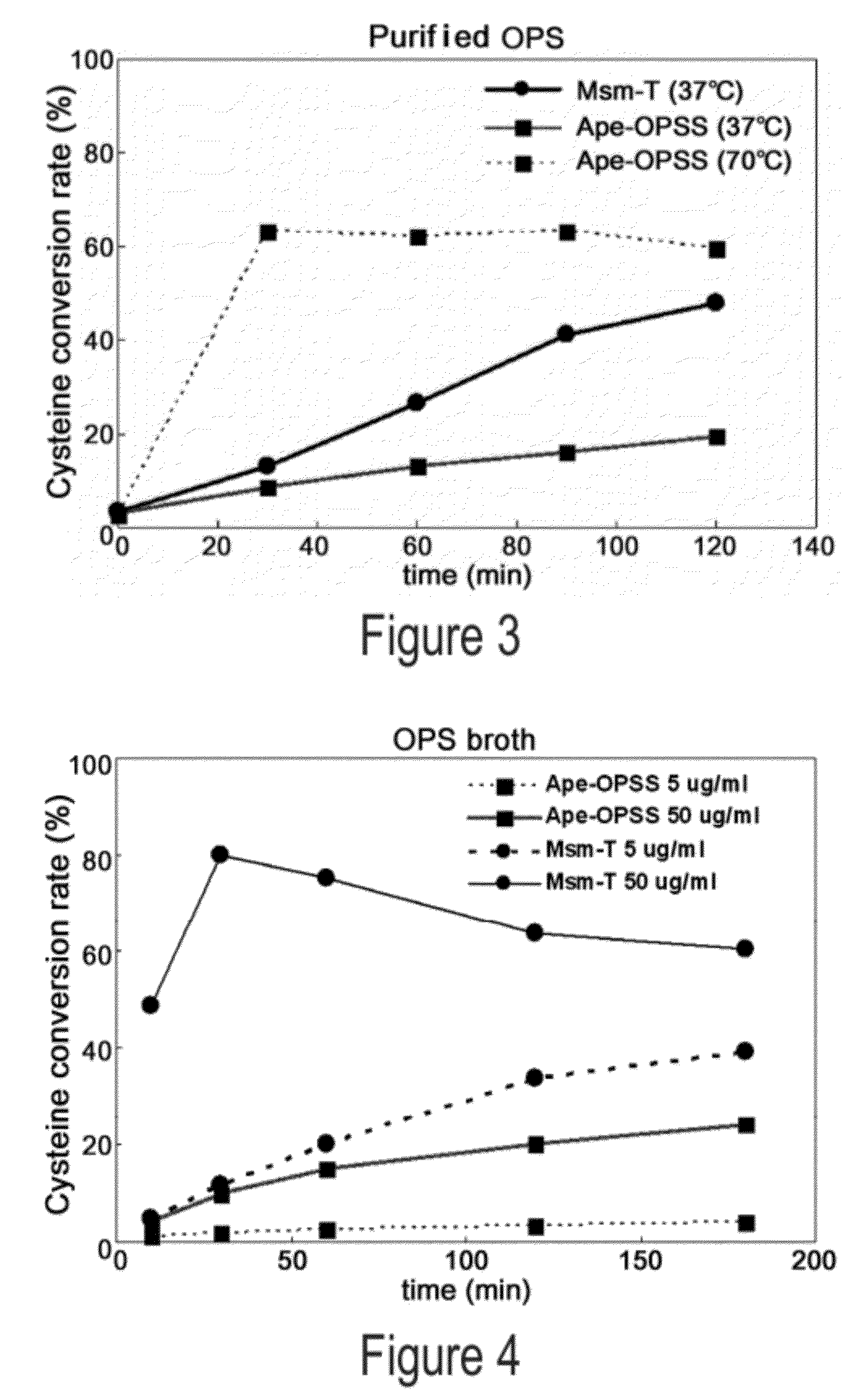 O-phosphoserine sulfhydrylase mutants and method for production of cysteine using the same