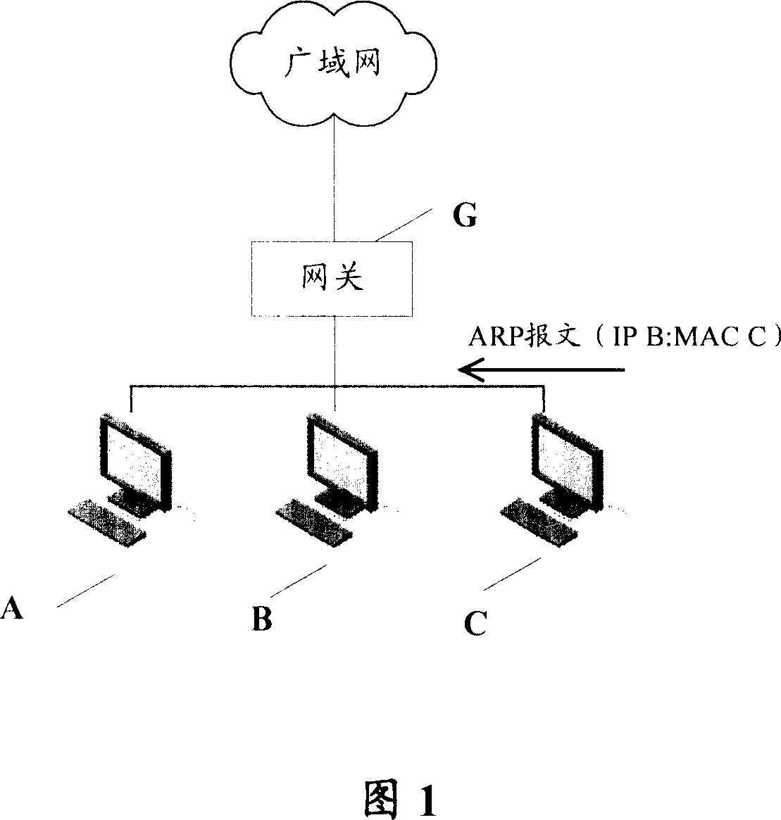 Method and equipment for preventing network attack by using address analytic protocol
