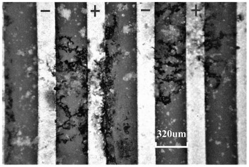 Dust pollution circuit board insulation failure simulation detection method based on electrochemical migration