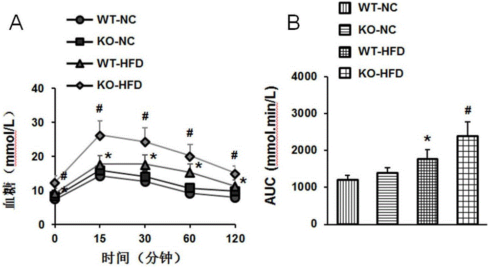 Functions and application of leukocyte immunoglobulin-like receptor B4 to treatment on non-alcoholic fatty liver disease and type 2 diabetes mellitus