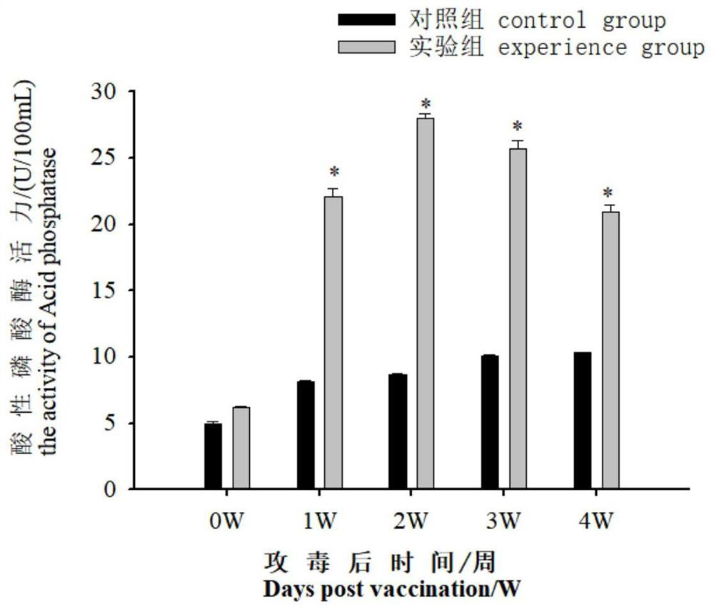 Aeromonas salmonicida and edwardsiella tarda bivalent vaccine and application thereof