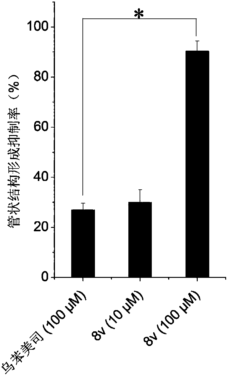 1,2,3-triazole aminopeptidase N inhibitor as well as preparation method and application thereof