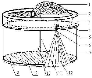 Application method of floating cultivation trough for fry of Siniperca chuatsi